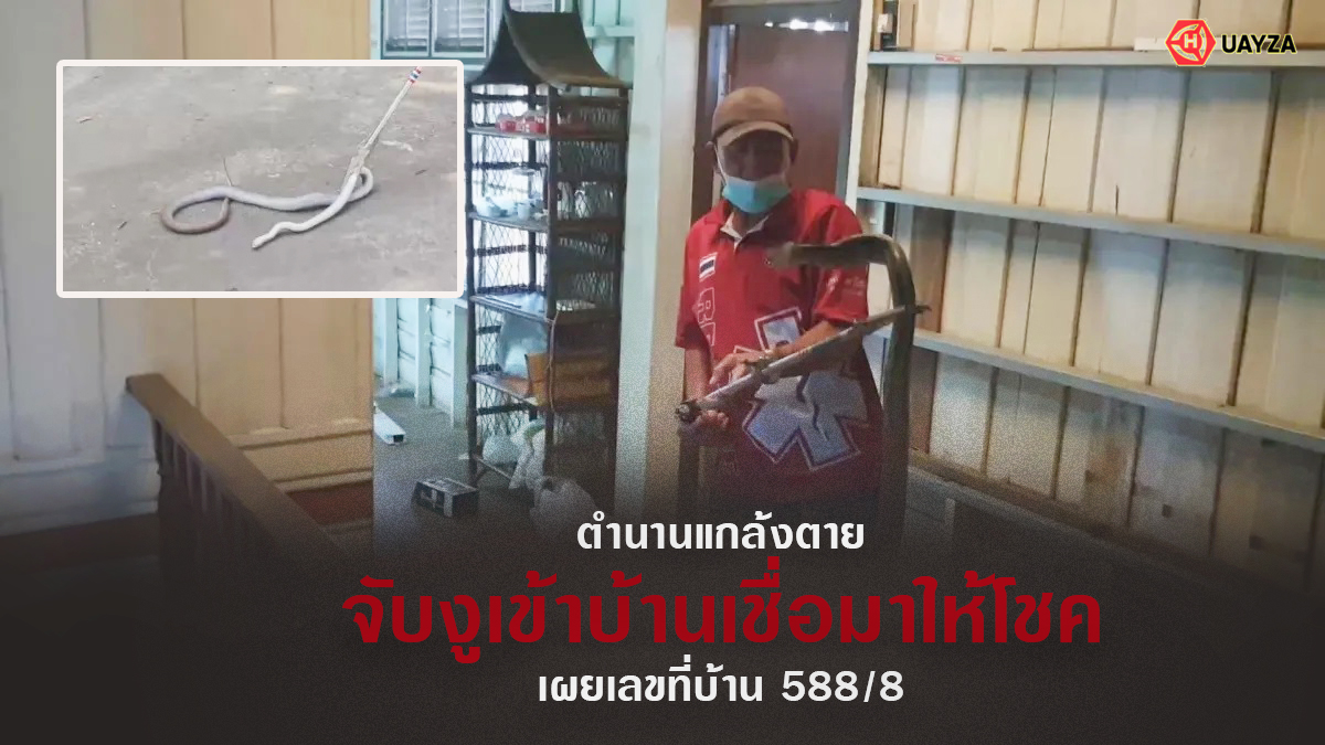 จับงูเข้าบ้าน