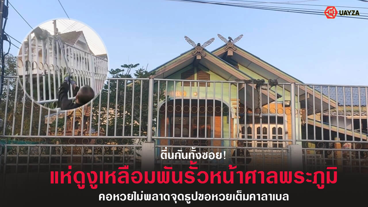 ปกงูเลื่อยริมรั้ว