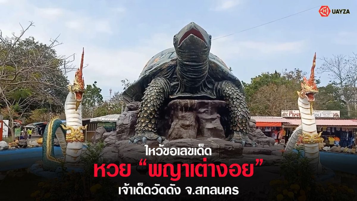 ปกหวยพญาเต่างอย 16/2/66
