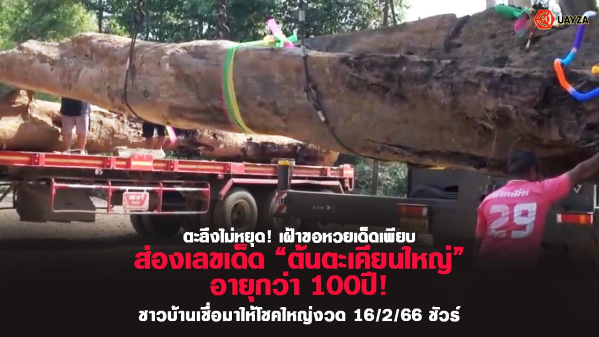 ปกเลขแม่ตะเคียนจมทราย 16/2/66