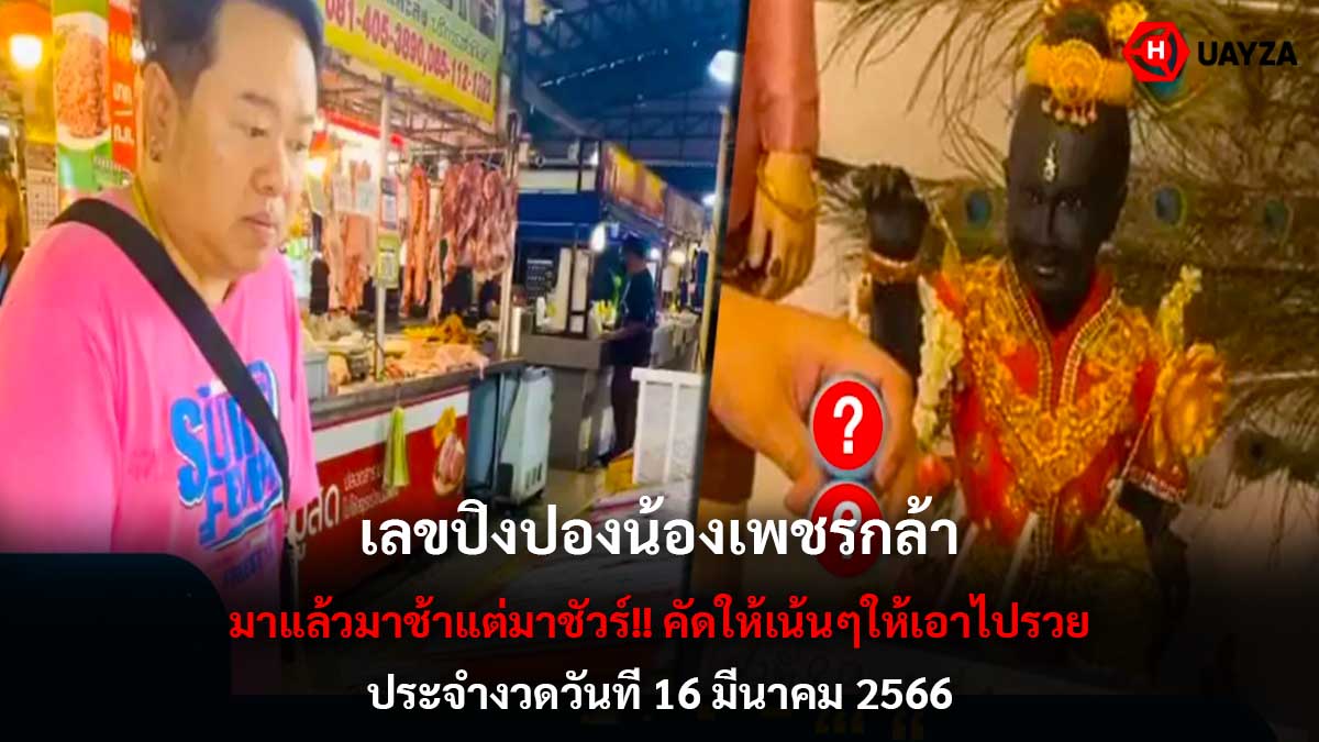 ปิงปองน้องเพชรกล้า 16366
