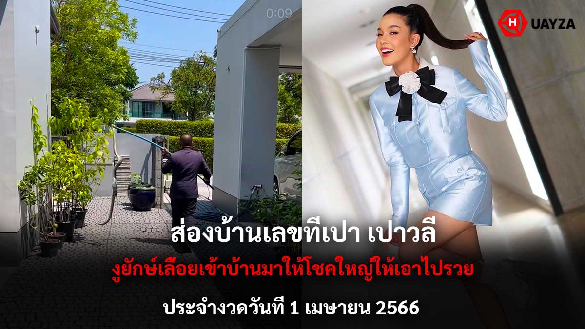 ส่องบ้านเลขที่เปาวลี 1 4 66