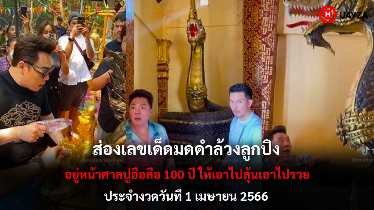ส่องเลขเด็ด มดดำล้วงลูกปิง 1 4 66