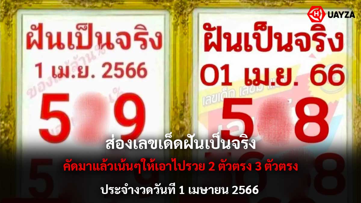 ส่องเลขเด็ดฝันเป็นจริง 1 4 66