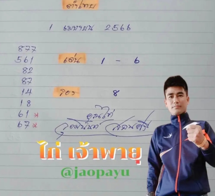 ส่องแนวทางไก่เจ้าพายุงวด เลขเด่น :1 – 6