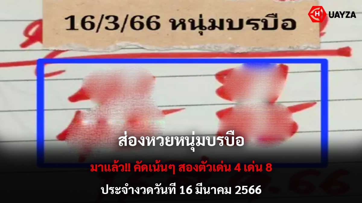 หวยหนุ่มบรบือ 16366