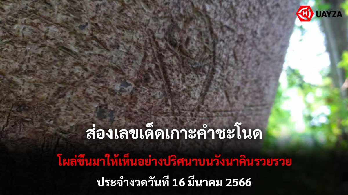 หวยหน้าเกาะคำชะโนด 16366