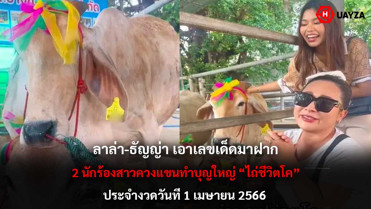 เลขเด็ด ลาล่า-ธัญญ่า 1 4 66