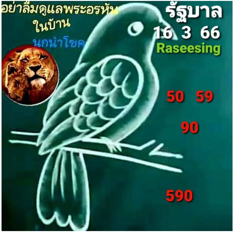 เลขเด็ดนกนำโชค คัดเน้นๆ ฟันมาให้แล้ว