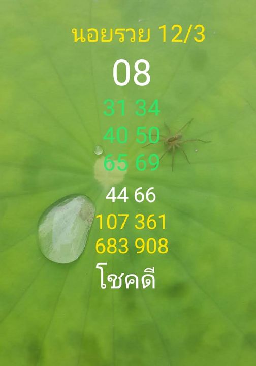 แนวทางหวยฮานอย 12/3/66 ชุดที่4