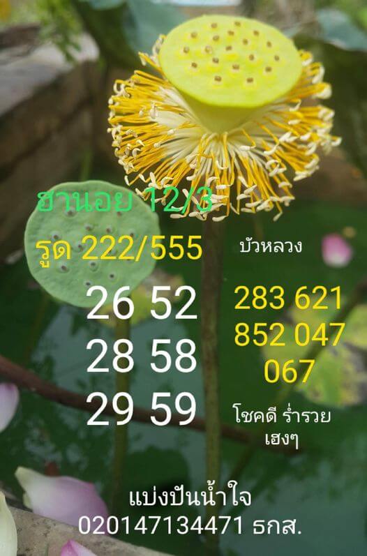 แนวทางหวยฮานอย 12/3/66 ชุดที่5