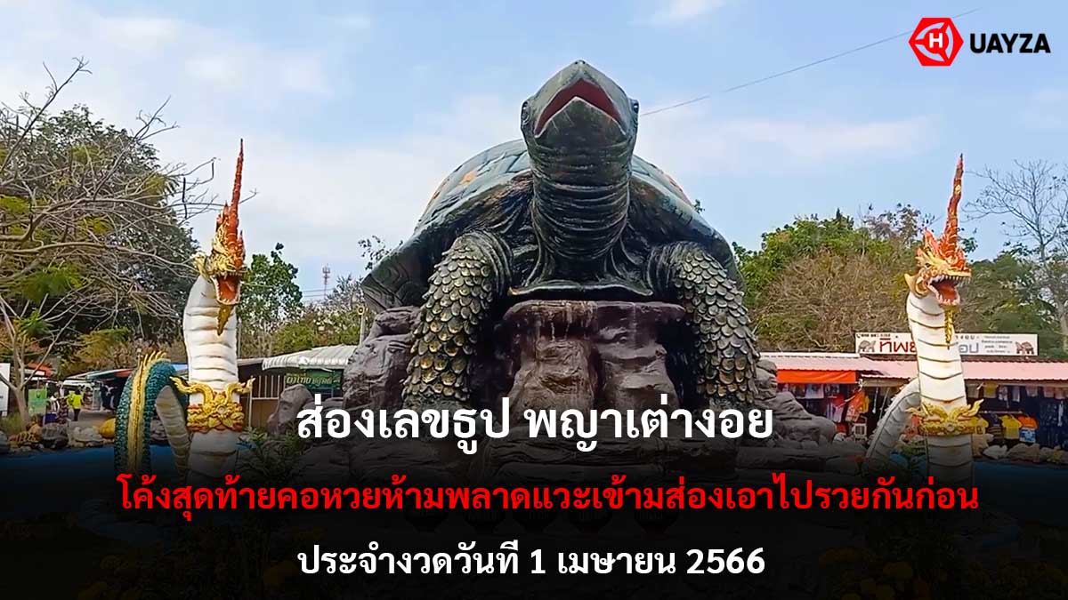 ส่องเลขธูปพญาเต่างอย 1 4 66