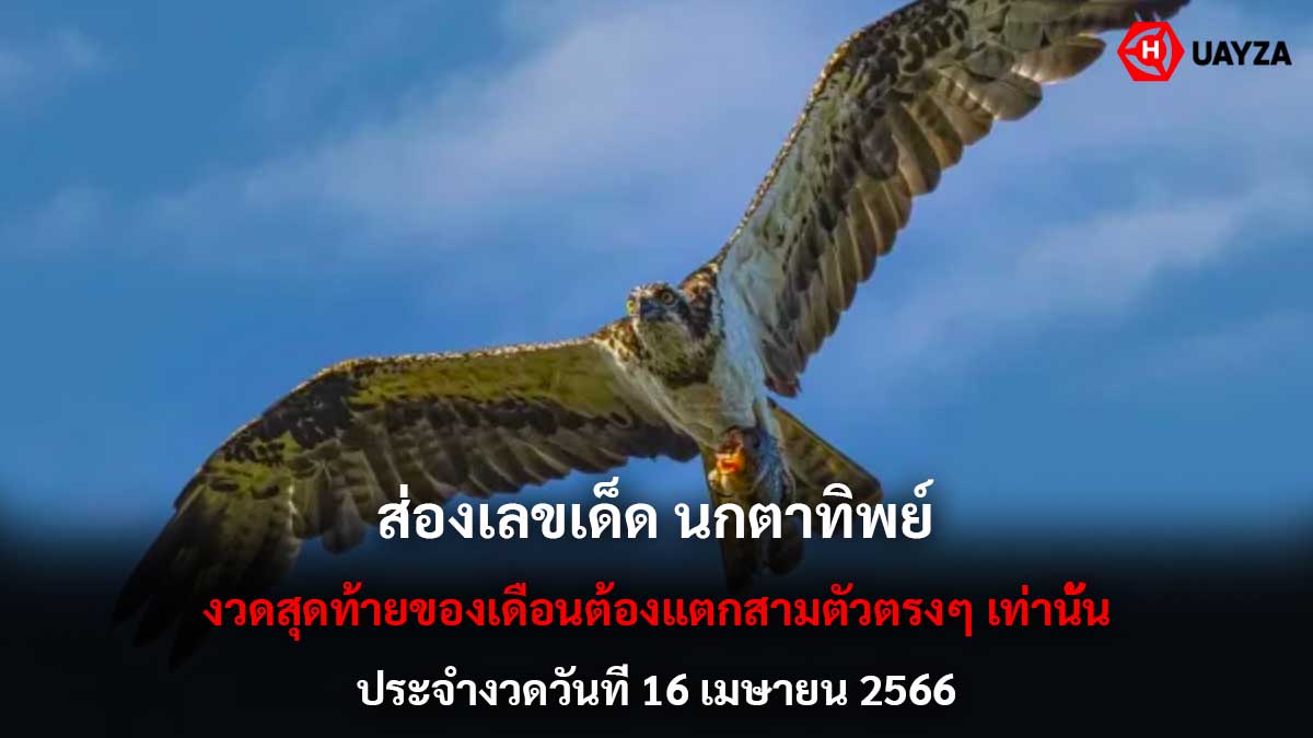 ส่องเลขเด็ด นกตาทิพย์ 16 4 66