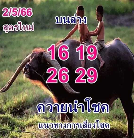หวยควายนำโชค2 พฤษภาคม 2566
