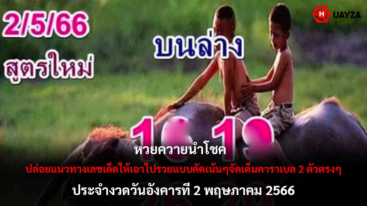 หวยควายนำโชค 2 5 66
