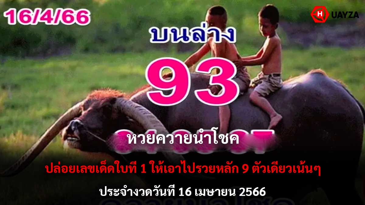 หวยควายนำโชค งวด 16 4 66