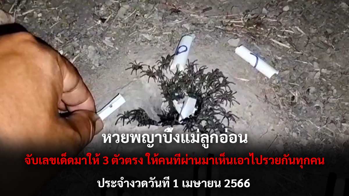 หวยพญาบึ้งแม่ลูกอ่อน 1 4 6