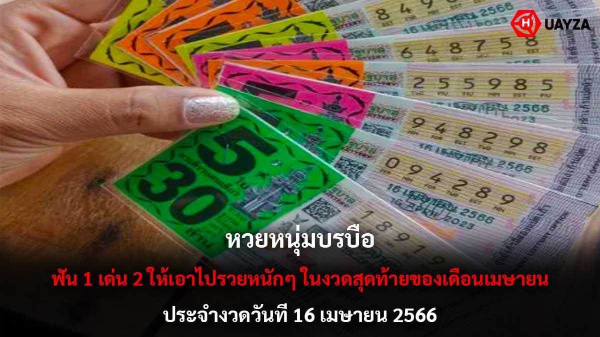 หวยหนุ่มบรบือ 16 4 66