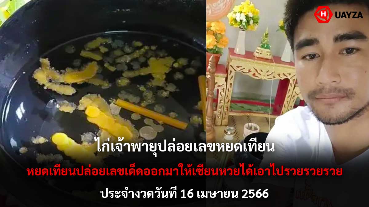 หวยไก่เจ้าพายุงวด 16 4 66