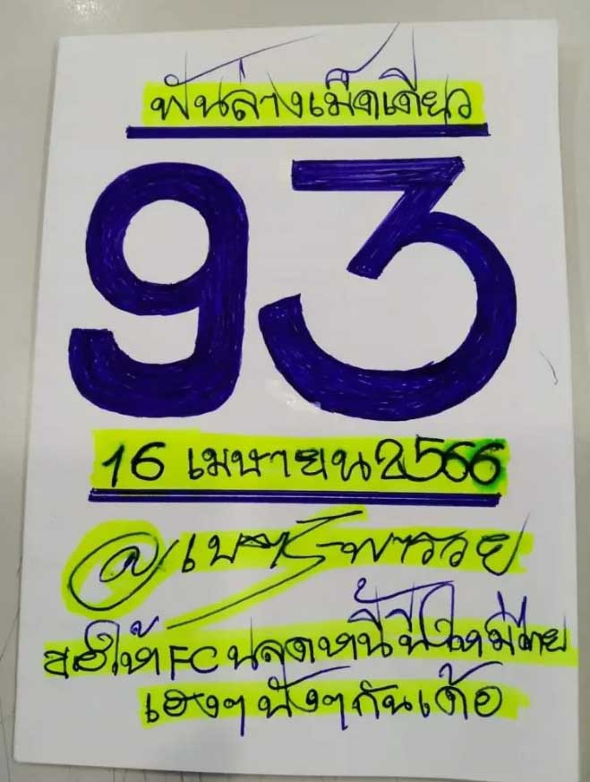 เนตรพารวยใบ2 16 4 66