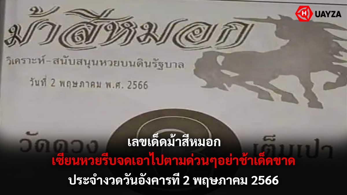 เลขเด็ดม้าสีหมอก 2 5 66