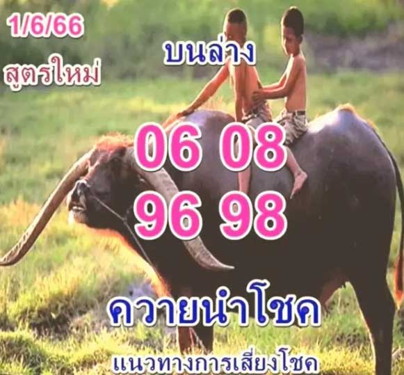หวยควายนำโชค 1 มิถุนายน 2566