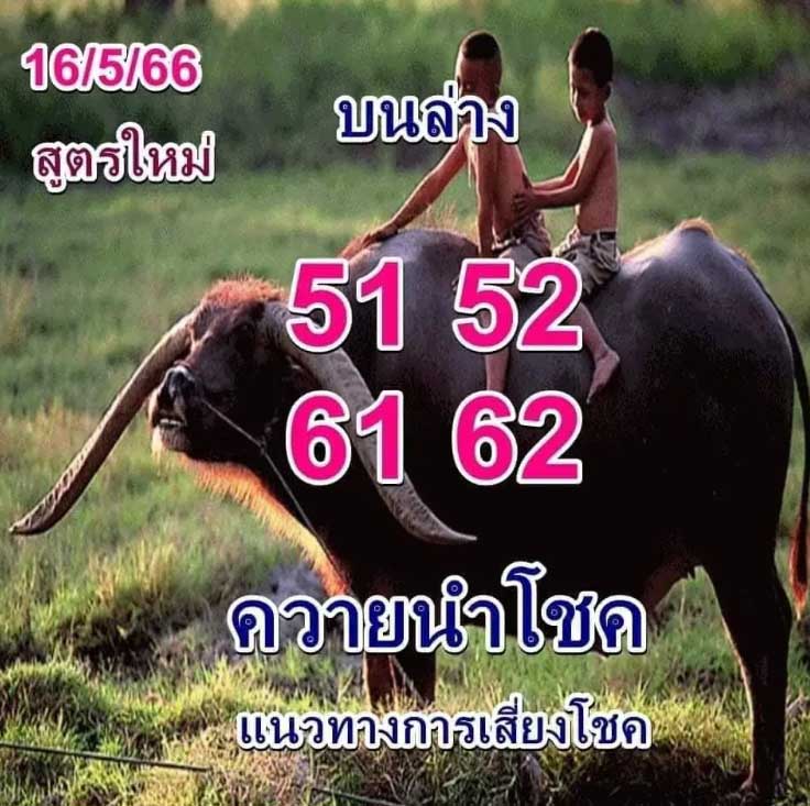 หวยควายนำโชคงวด 16 พฤษภาคม 2566