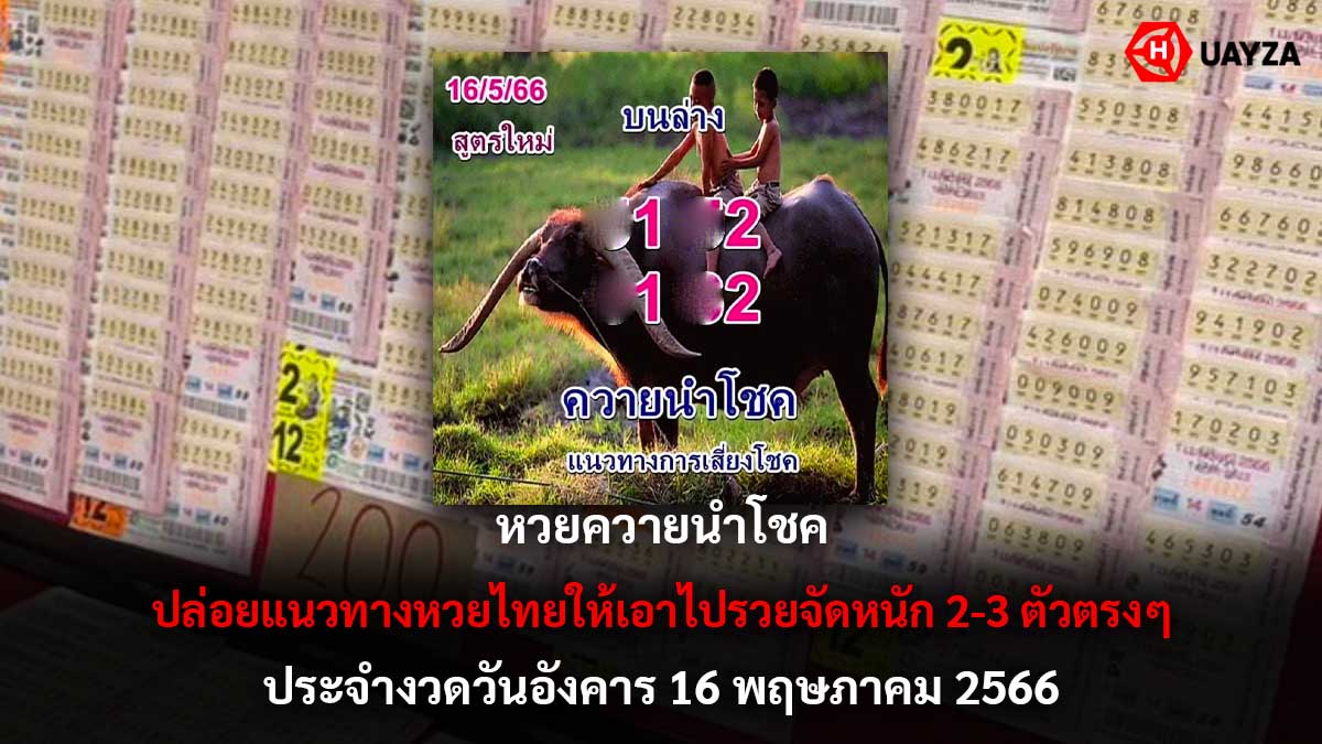 หวยควายนำโชคงวด 16 5 66