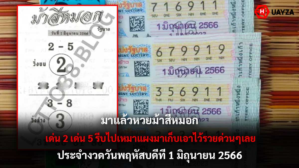 หวยม้าสีหมอก 1 6 66