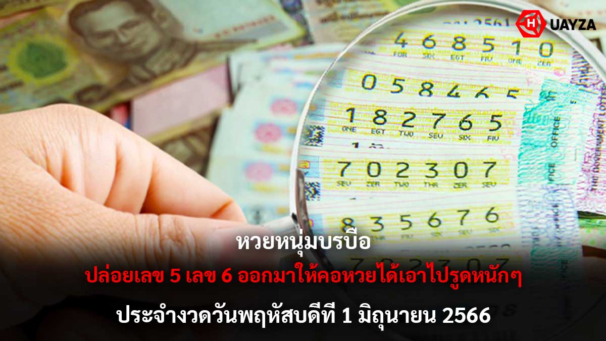 หวยหนุ่มบรบือ 1 6 66