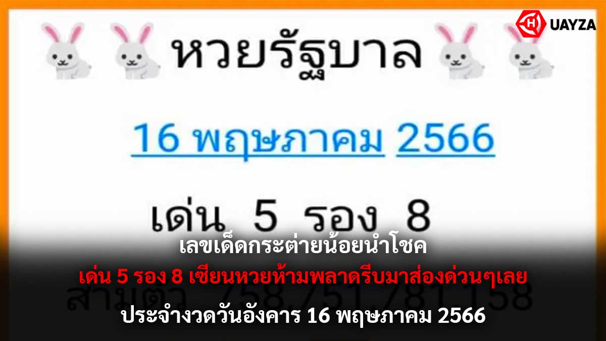 เลขเด็ดกระต่ายน้อยนำโชค 16 5 66