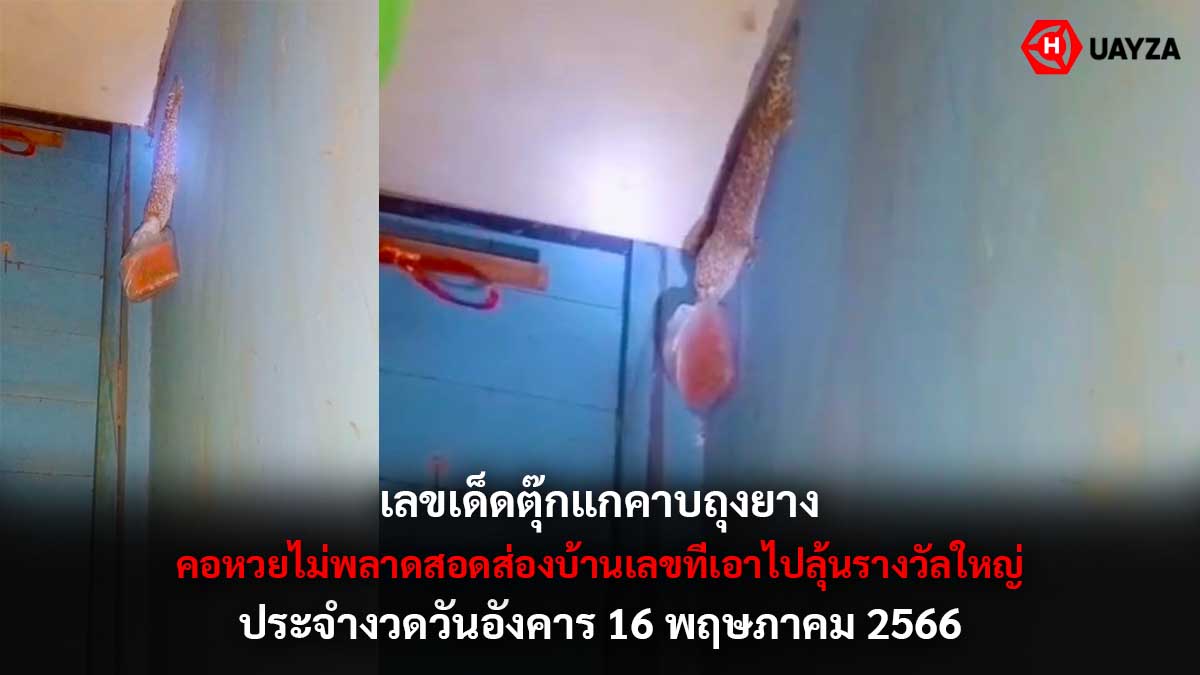 เลขเด็ดตุ๊กแกคาบถุงยาง 16 5 66
