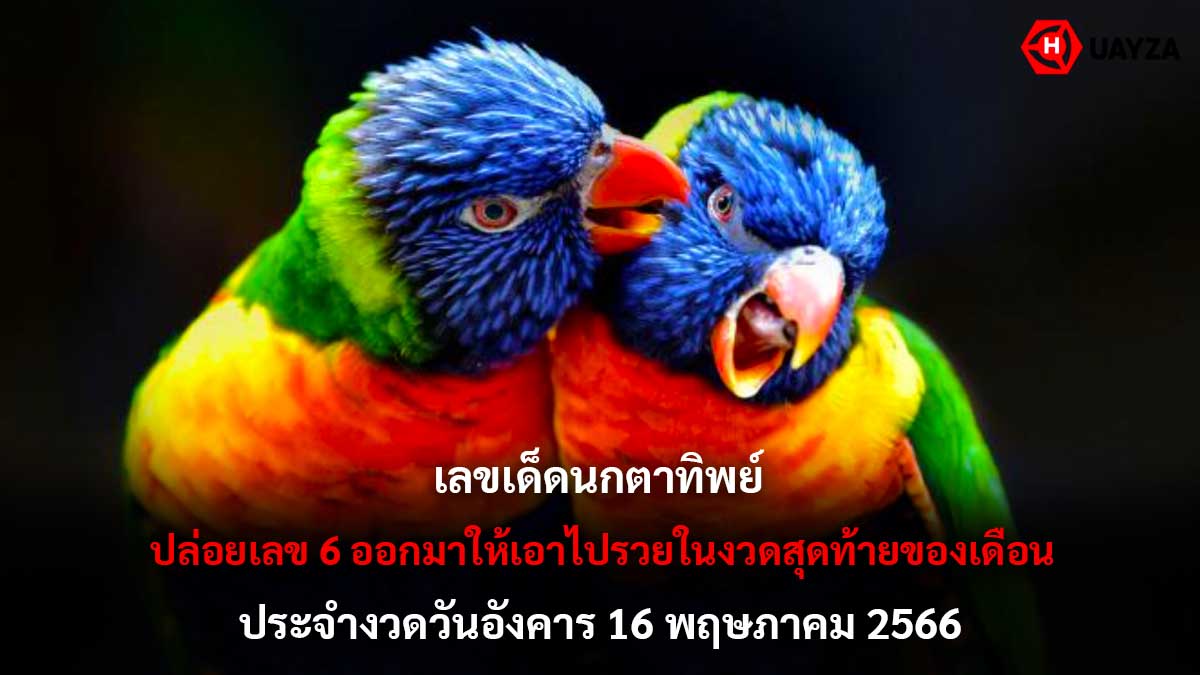 -เลขเด็ดนกตาทิพย์ 16 5 66