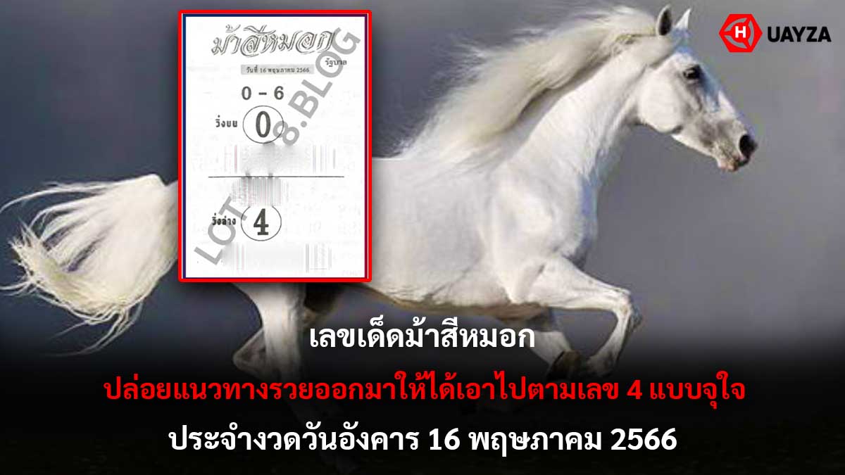 เลขเด็ดม้าสีหมอก 16 5 66