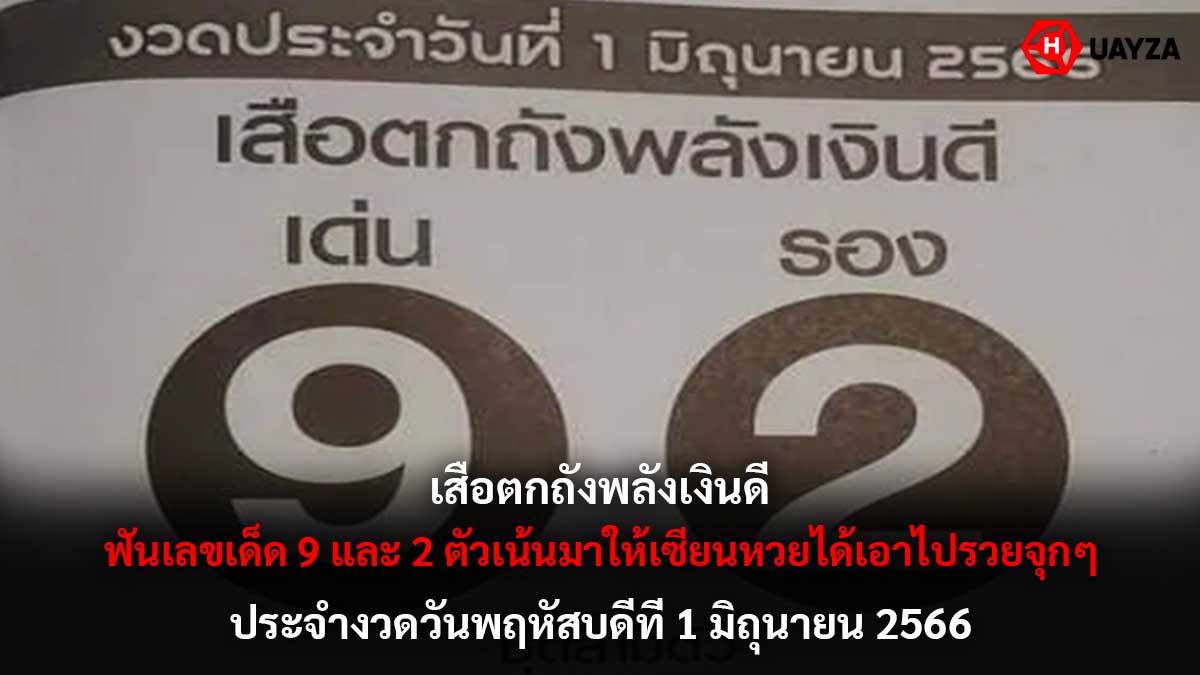 เสือตกถังพลังเงินดี 1 6 66