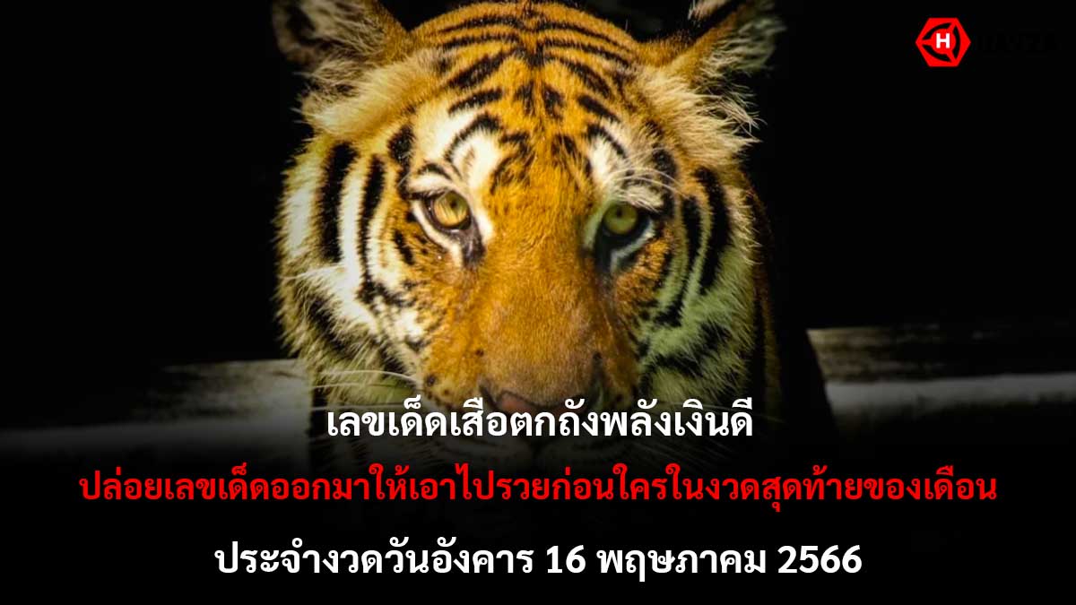 เสือตกถังพลังเงินดี 16 5 66