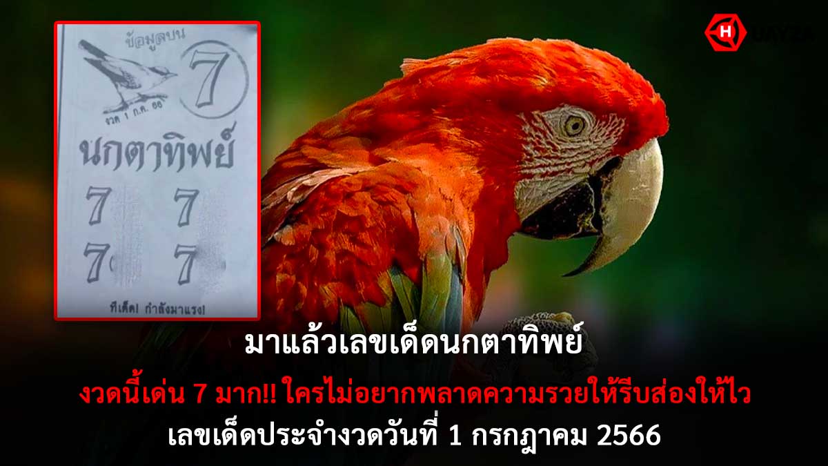 นกตาทิพย์งวด 1 7 66