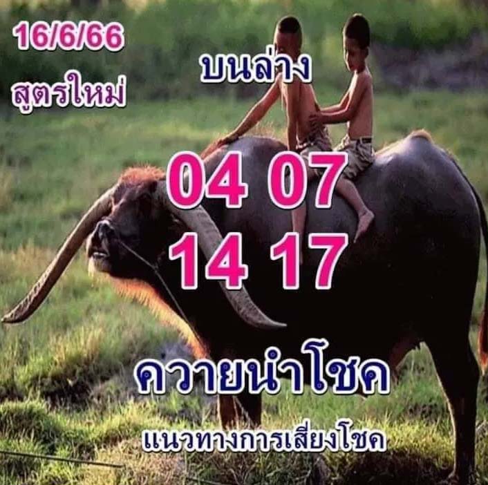 หวยควายนำโชค งวดวันที่ 16 มิถุนายน 2566
