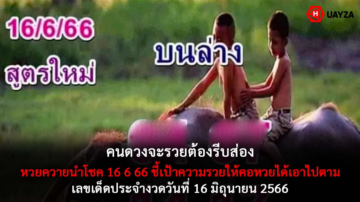 หวยควายนำโชค 16 6 66
