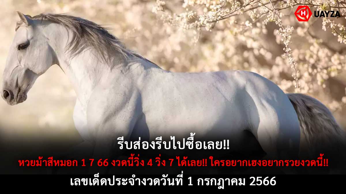 หวยม้าสีหมอก 1 7 66