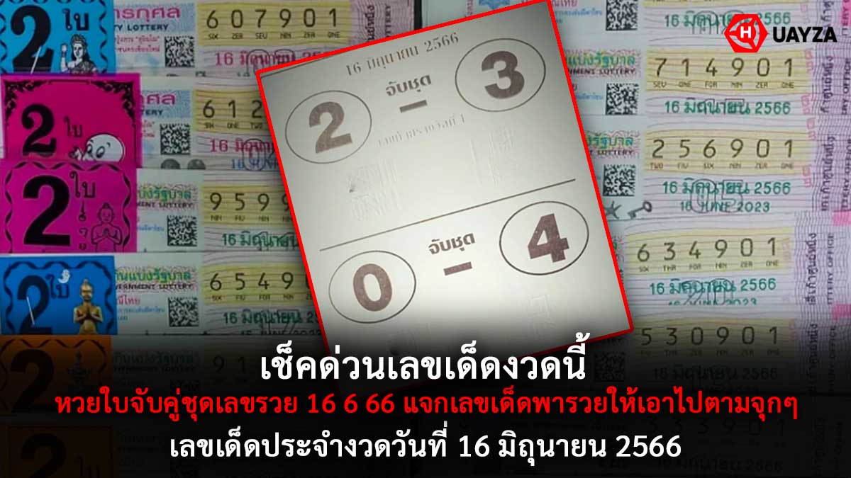หวยใบจับคู่ชุดเลขรวย 16 6 66