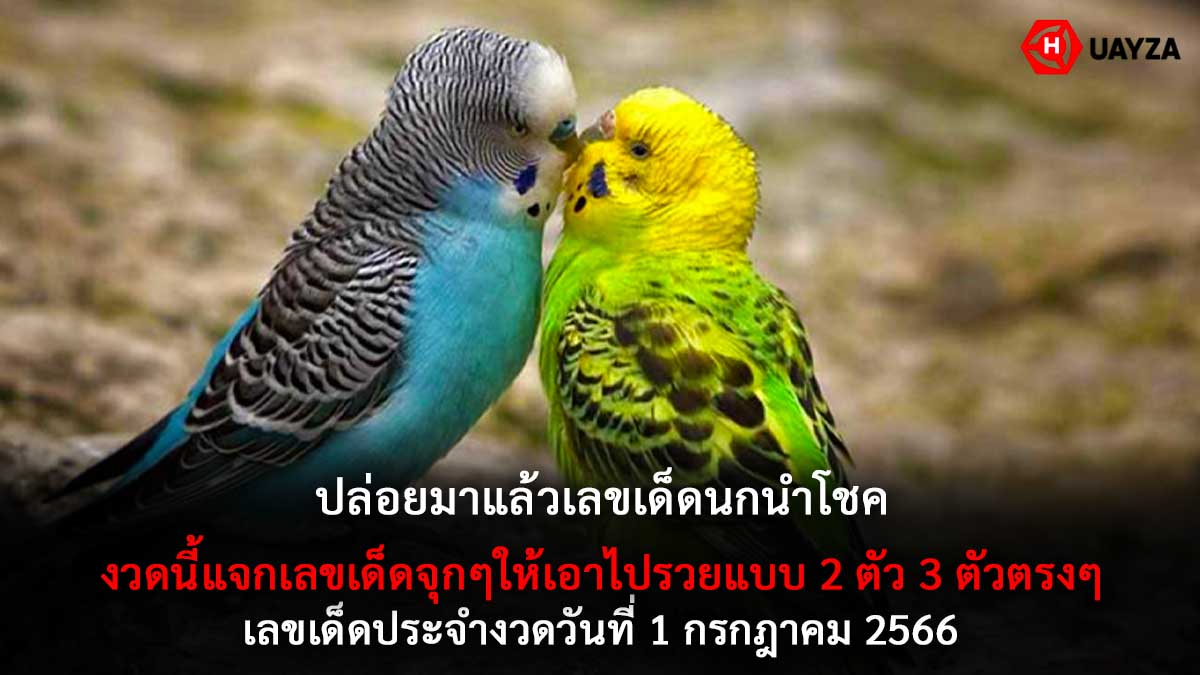 เลขเด็ดนกนำโชค 1 7 66