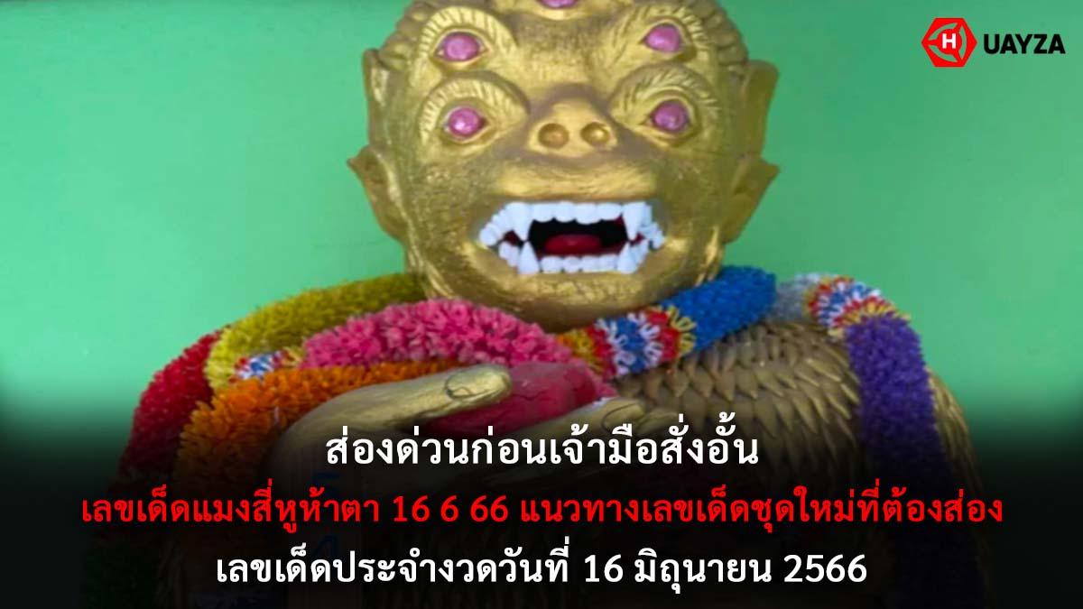 เลขเด็ดแมงสี่หูห้าตา 16 6 66 -1