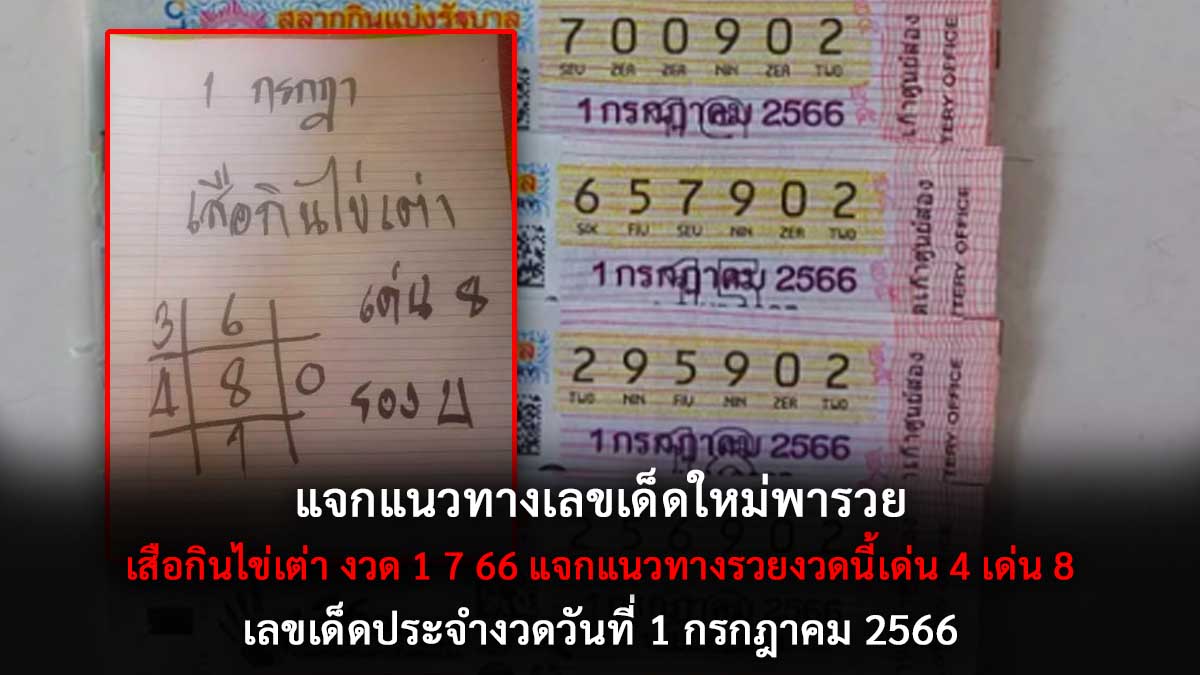 เสือกินไข่เต่า งวด 1 7 66