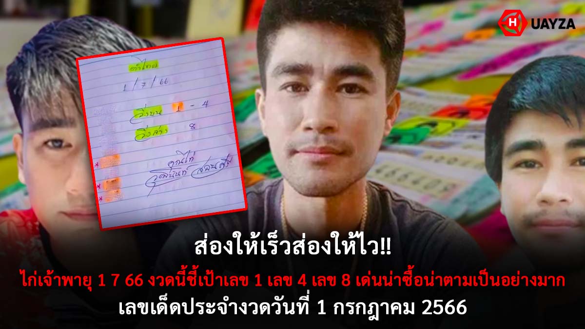 ไก่เจ้าพายุ 1 7 66