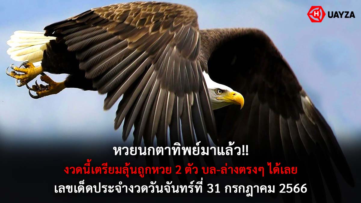 หวยนกตาทิพย์ 31 7 66