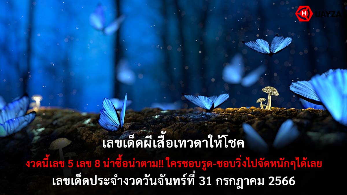 หวยผีเสื้อเทวดาให้โชค 31 7 66