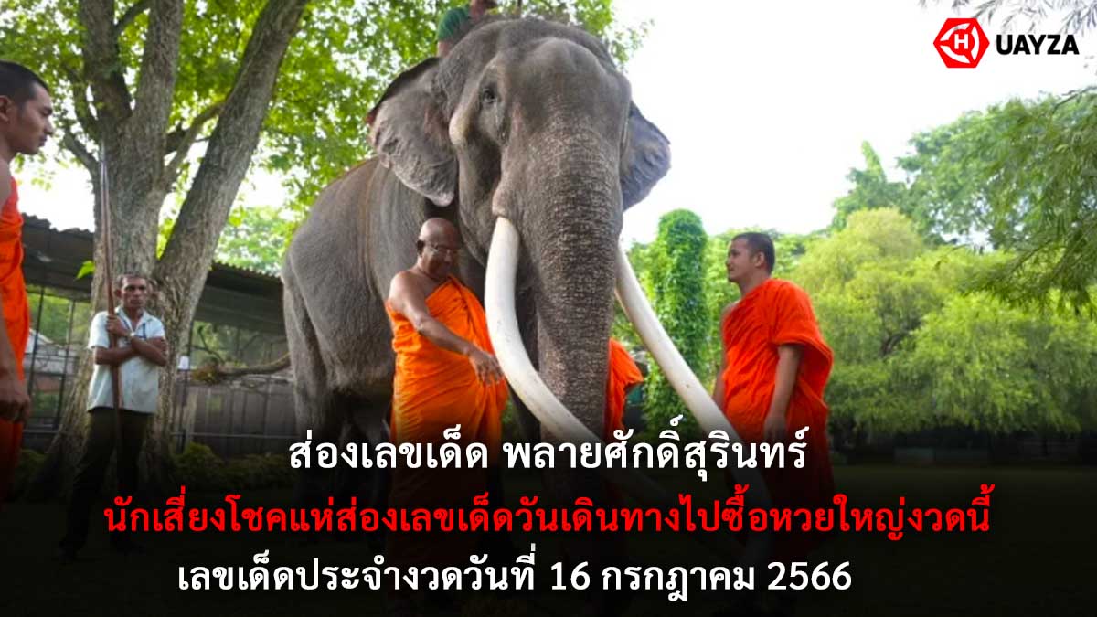 หวยพลายศักดิ์สุรินทร์ 16 7 66