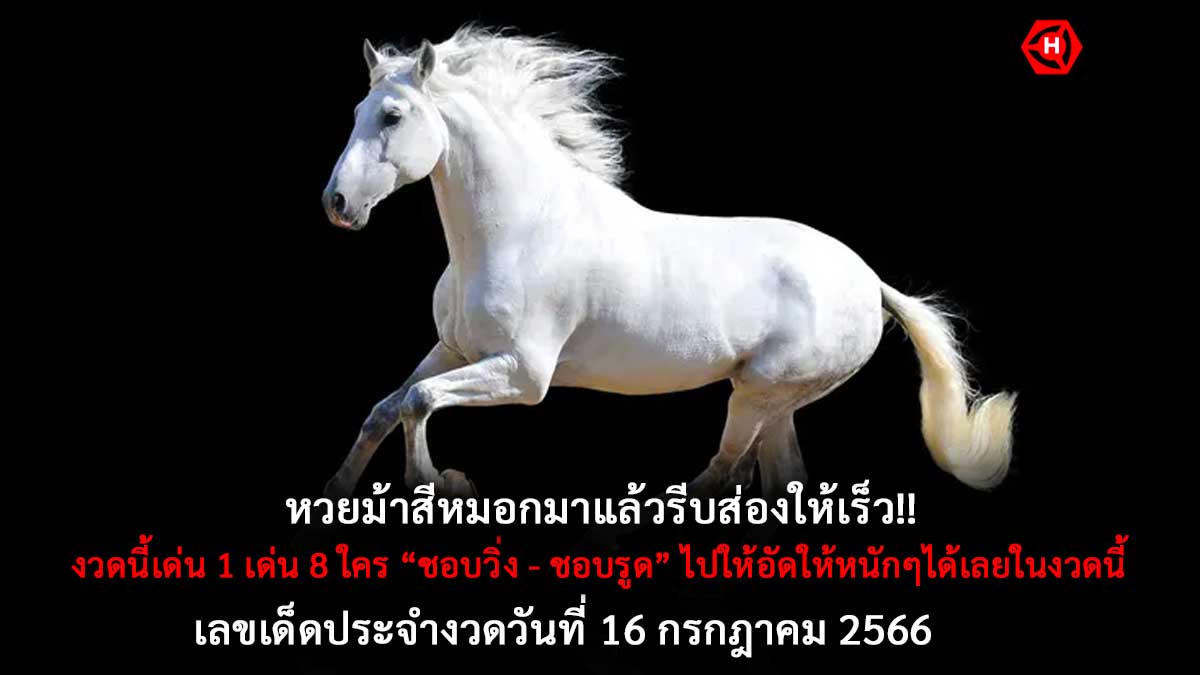 หวยม้าสีหมอก 16 7 66