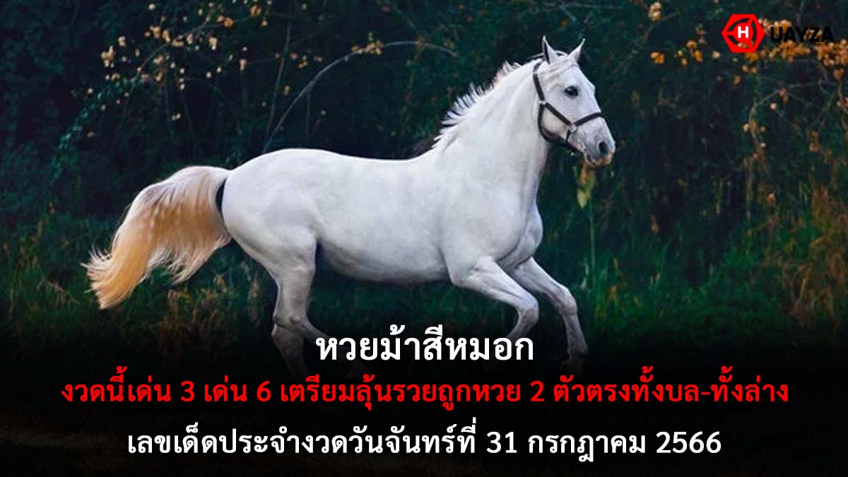 หวยม้าสีหมอก 31 7 66